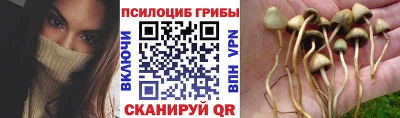 Галлюциногенные грибы MAGIC MUSHROOMS  Володарск 